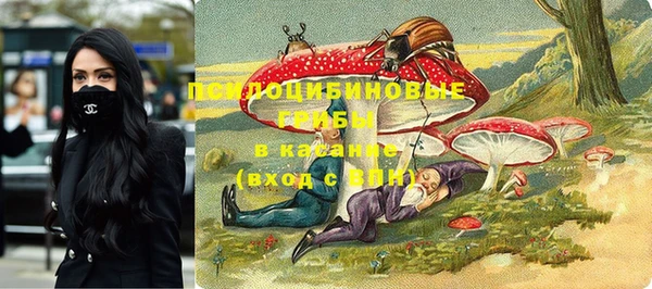 2c-b Бугульма