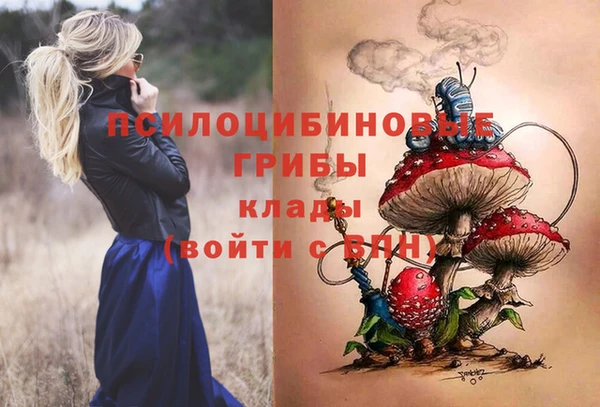 a pvp Бронницы